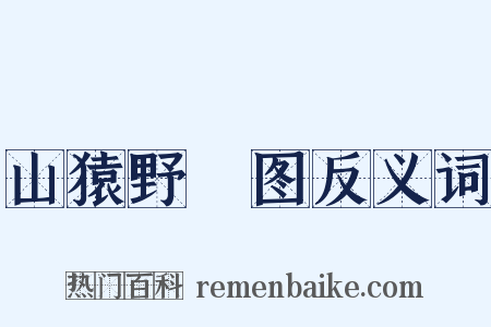 山猿野麞图反义词是什么意思的图片